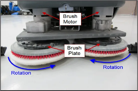 Photo of the brush head from the front showing the two brush motors on top, the brush plates under them, and blue arrows marking the rotation of each disc. Labels: Brush Motor, Brush Plate, Rotation.