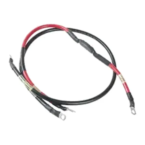 Cable, Assy [T500,T500e] (TN4044963)